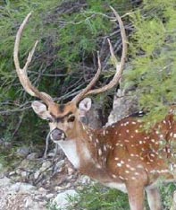 Aim Adventures Manages The Best Hunting & Fishing The World Has To Offer
