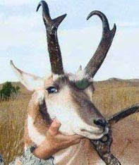 Aim Adventures Manages The Best Hunting & Fishing The World Has To Offer
