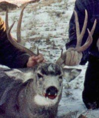 Aim Adventures Manages The Best Hunting & Fishing The World Has To Offer
