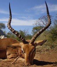 Aim Adventures Manages The Best Hunting & Fishing The World Has To Offer
