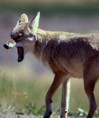 Aim Adventures Manages The Best Hunting & Fishing The World Has To Offer
