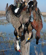 Aim Adventures Manages The Best Hunting & Fishing The World Has To Offer