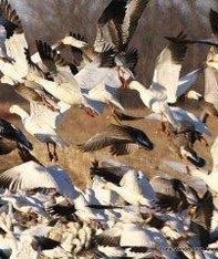 Aim Adventures Manages The Best Hunting & Fishing The World Has To Offer
